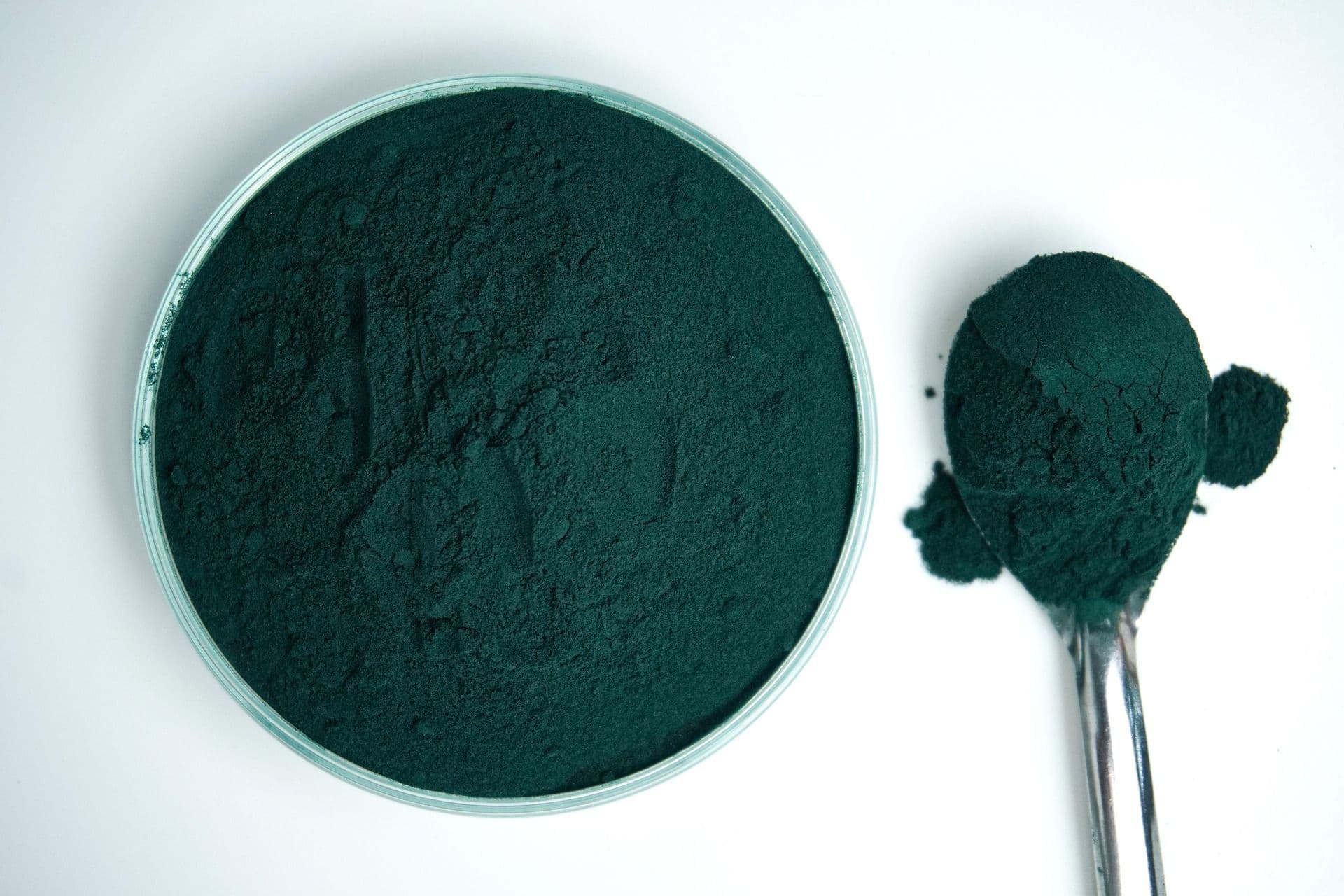 Spirulina prah