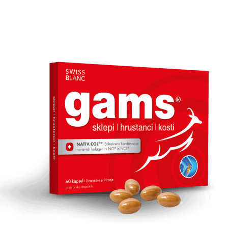 Swiss Gams