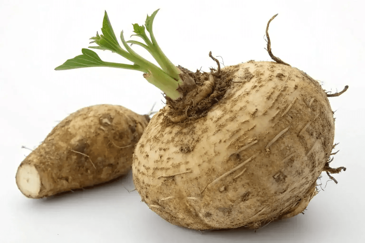 Najboljši prehranski dodatki z glukomananom